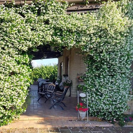 Bed and Breakfast Il Casale Del Sogno Ardea Exterior foto