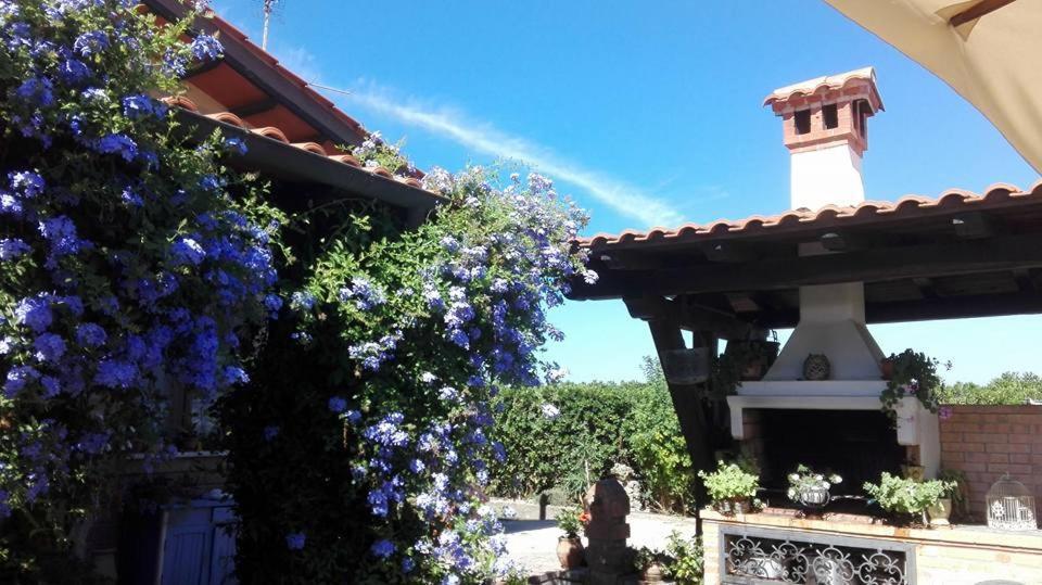 Bed and Breakfast Il Casale Del Sogno Ardea Exterior foto