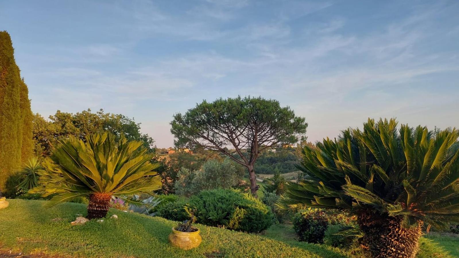 Bed and Breakfast Il Casale Del Sogno Ardea Exterior foto