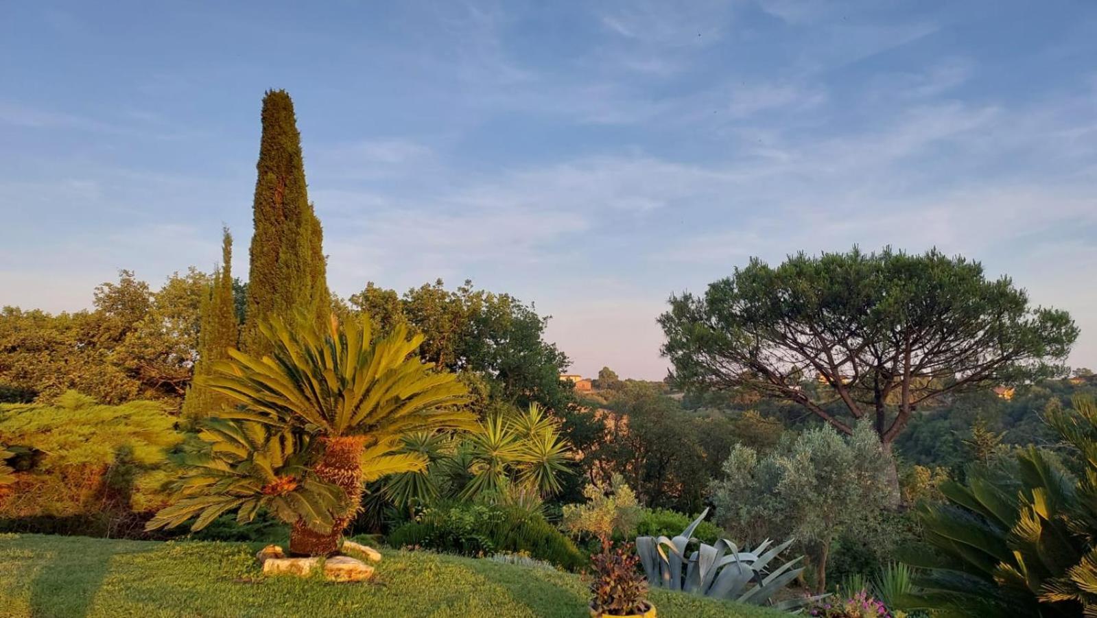 Bed and Breakfast Il Casale Del Sogno Ardea Exterior foto