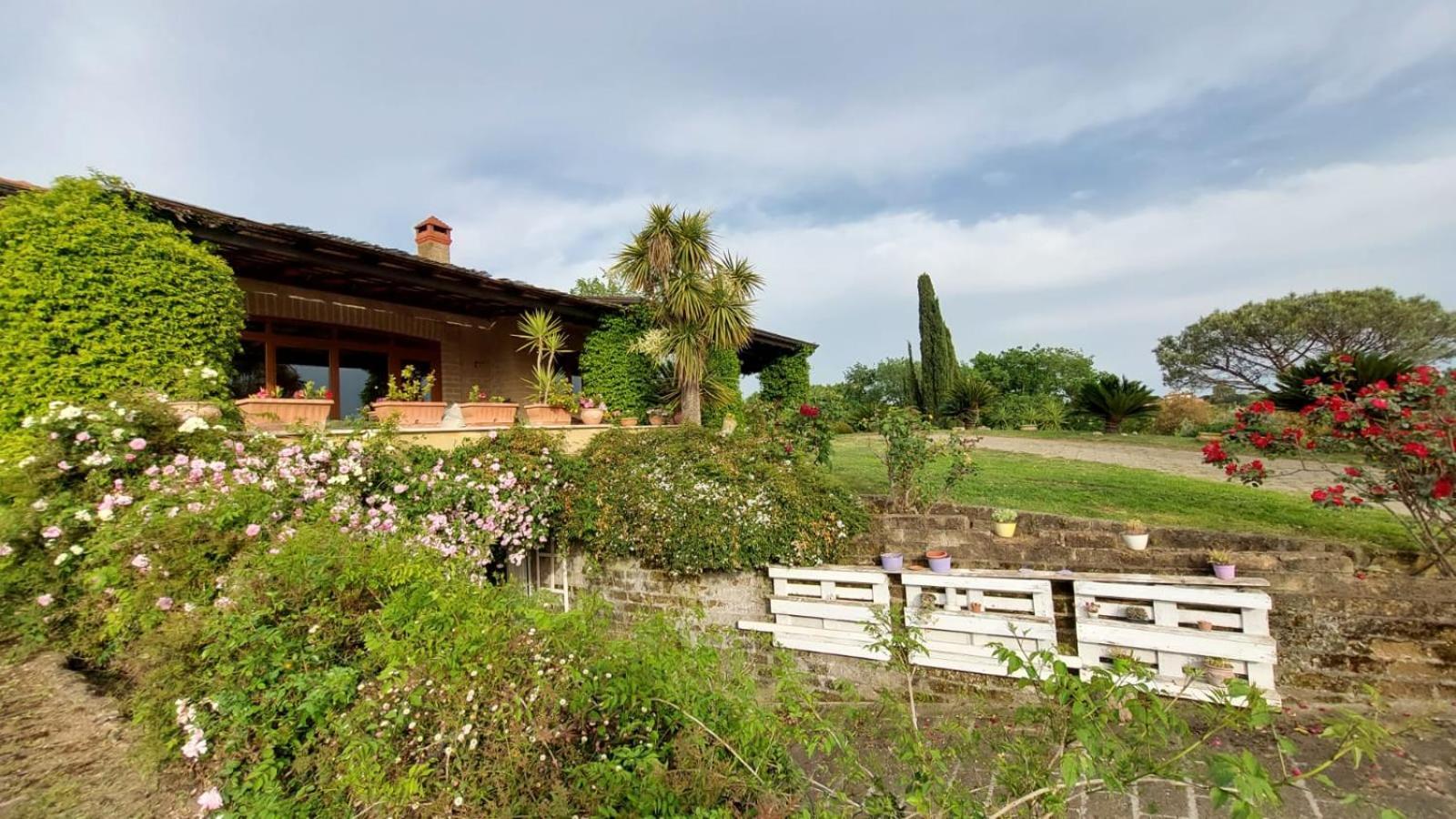 Bed and Breakfast Il Casale Del Sogno Ardea Exterior foto