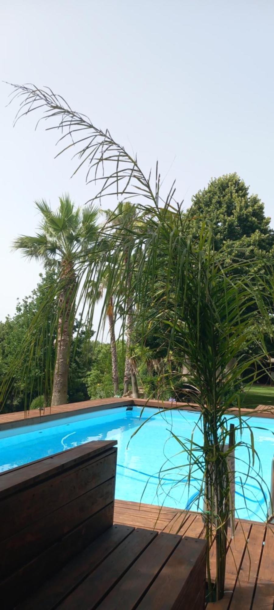Bed and Breakfast Il Casale Del Sogno Ardea Exterior foto