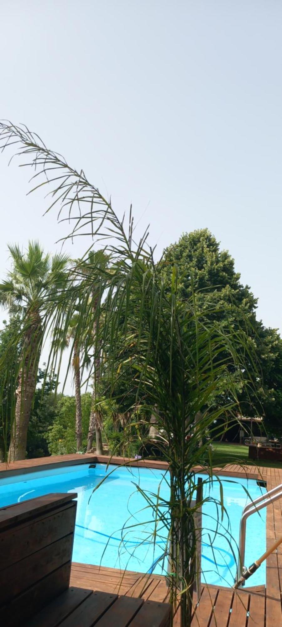 Bed and Breakfast Il Casale Del Sogno Ardea Exterior foto
