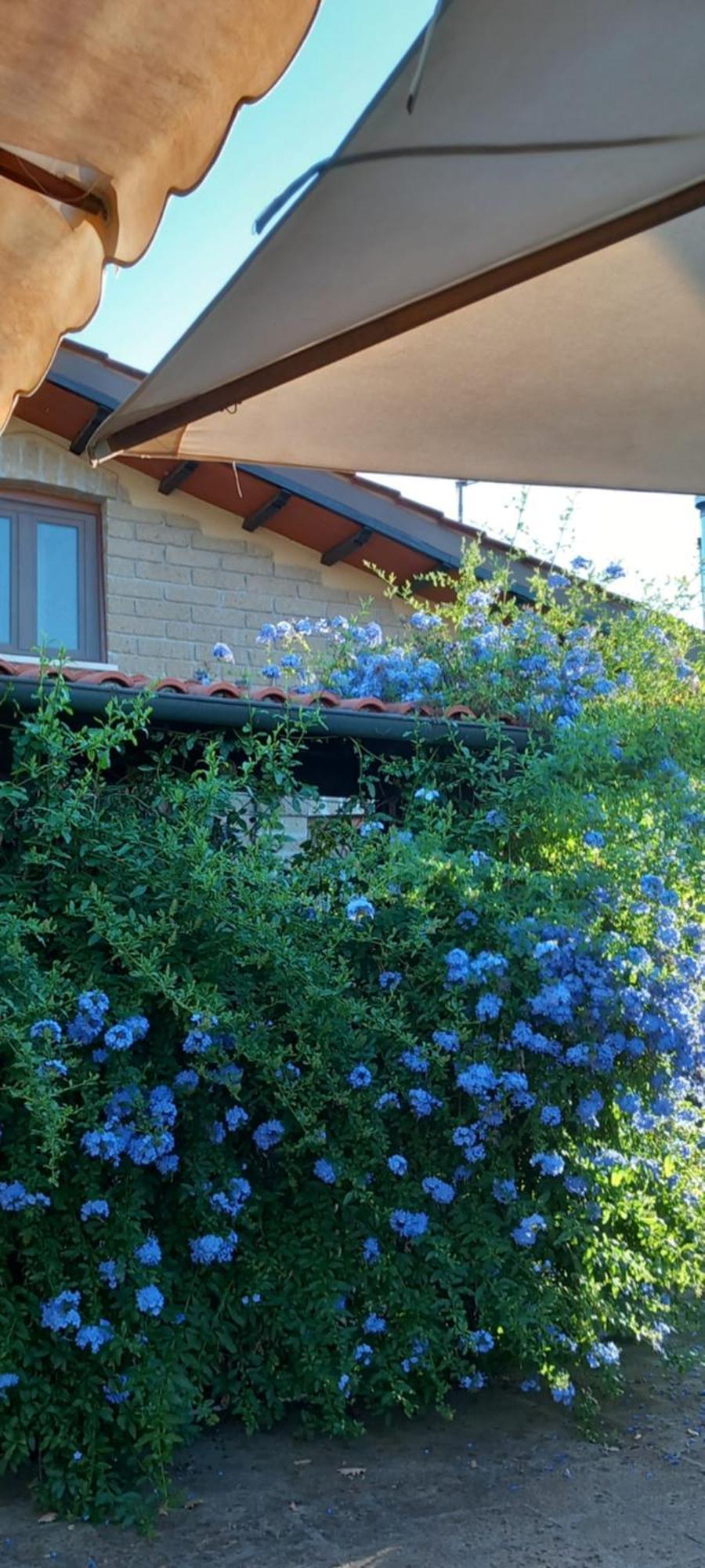 Bed and Breakfast Il Casale Del Sogno Ardea Exterior foto