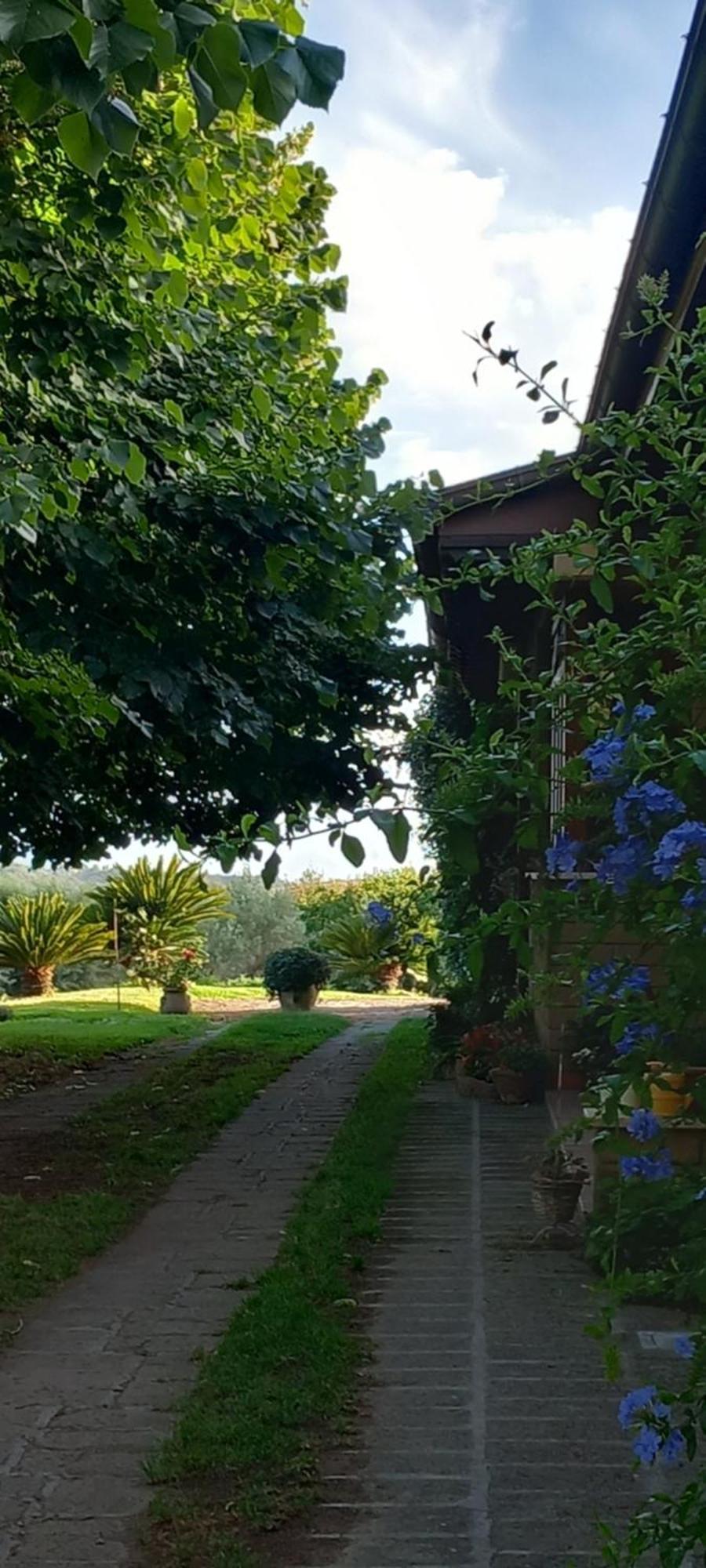 Bed and Breakfast Il Casale Del Sogno Ardea Exterior foto