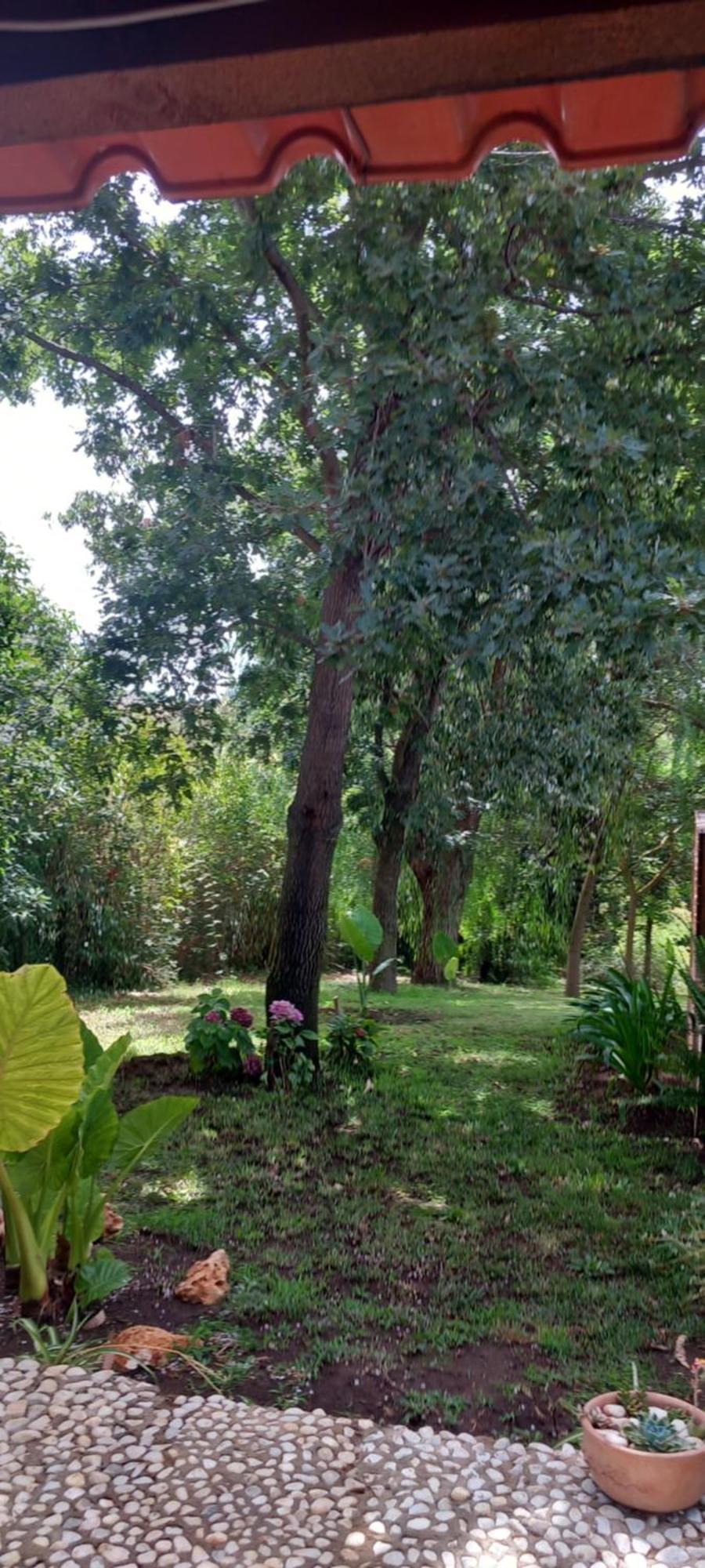 Bed and Breakfast Il Casale Del Sogno Ardea Exterior foto