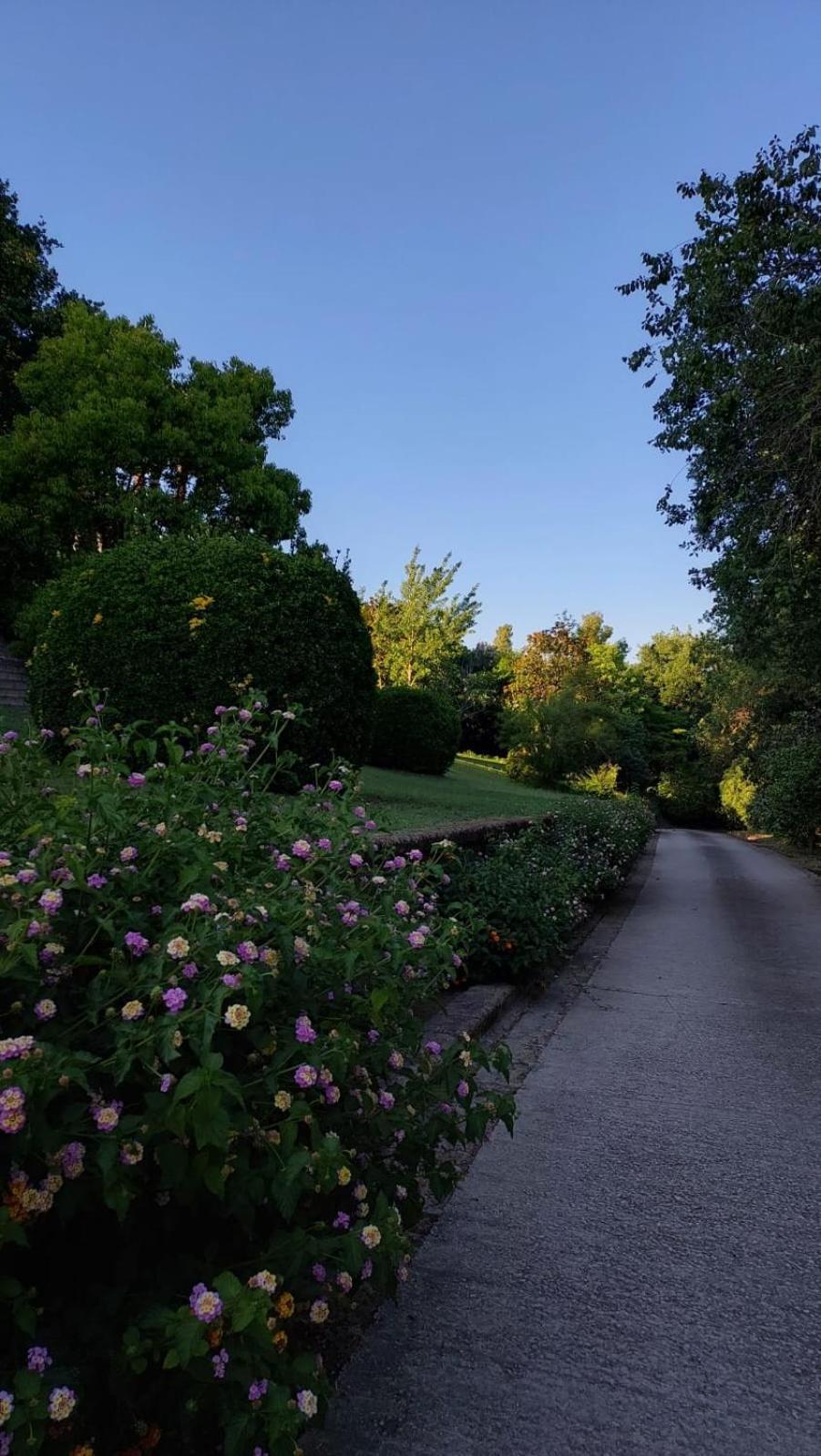 Bed and Breakfast Il Casale Del Sogno Ardea Exterior foto