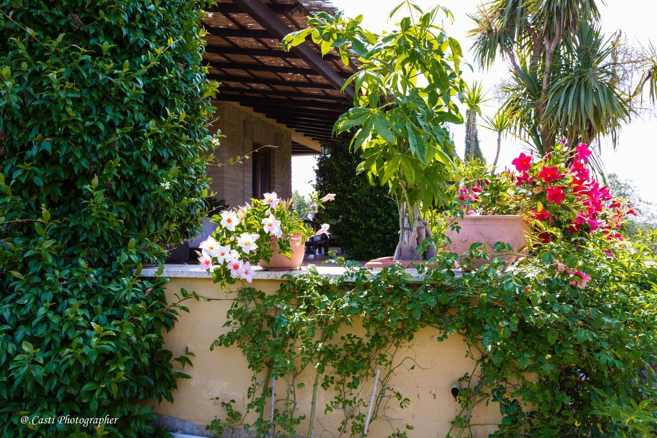 Bed and Breakfast Il Casale Del Sogno Ardea Exterior foto