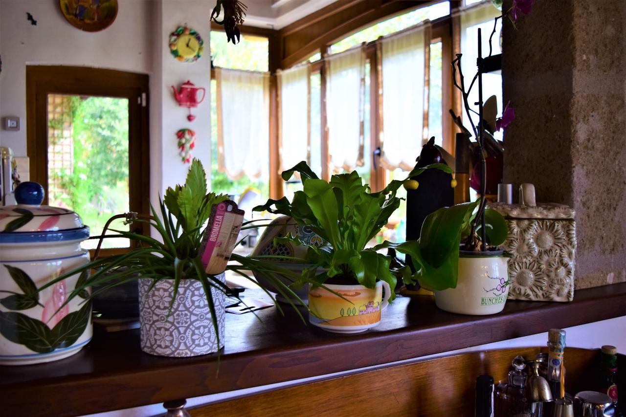 Bed and Breakfast Il Casale Del Sogno Ardea Exterior foto